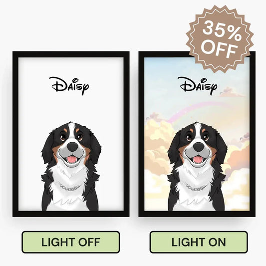 Custom Light Portrait